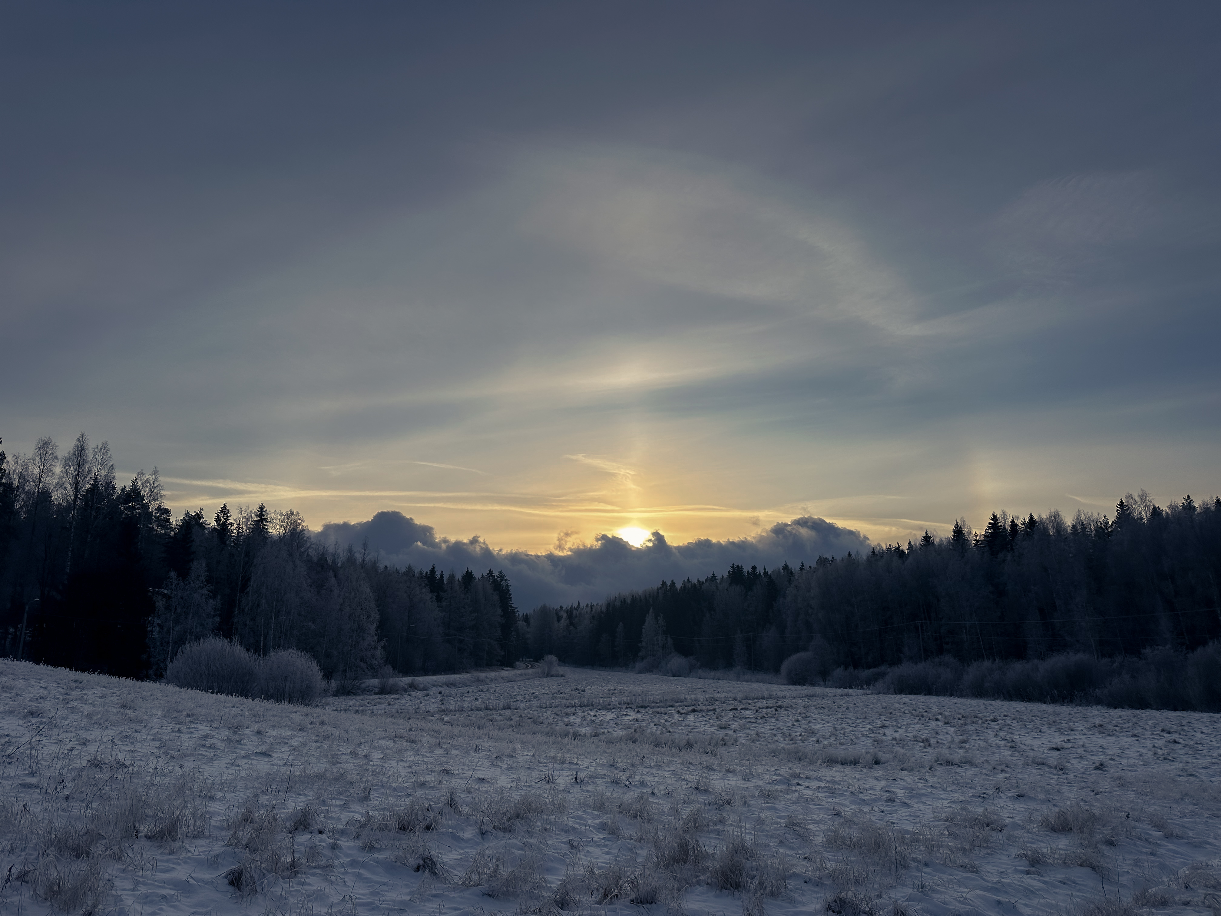フィンランドの大地