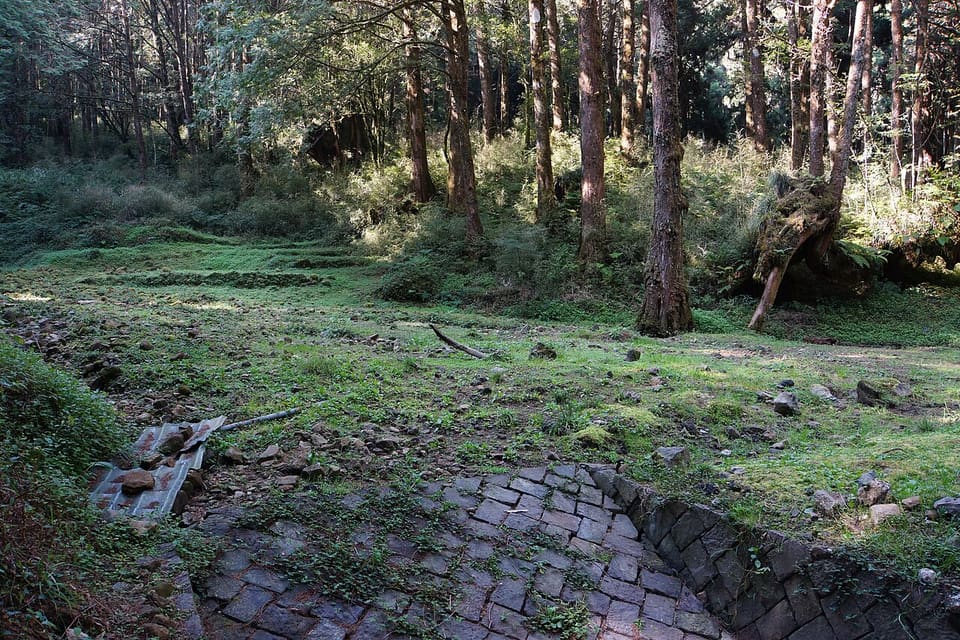 阿里山