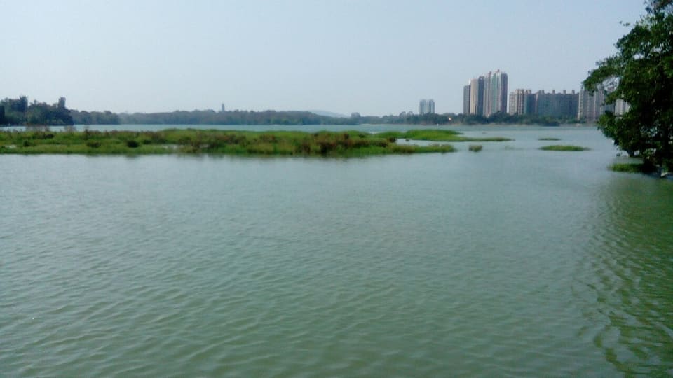 澄清湖