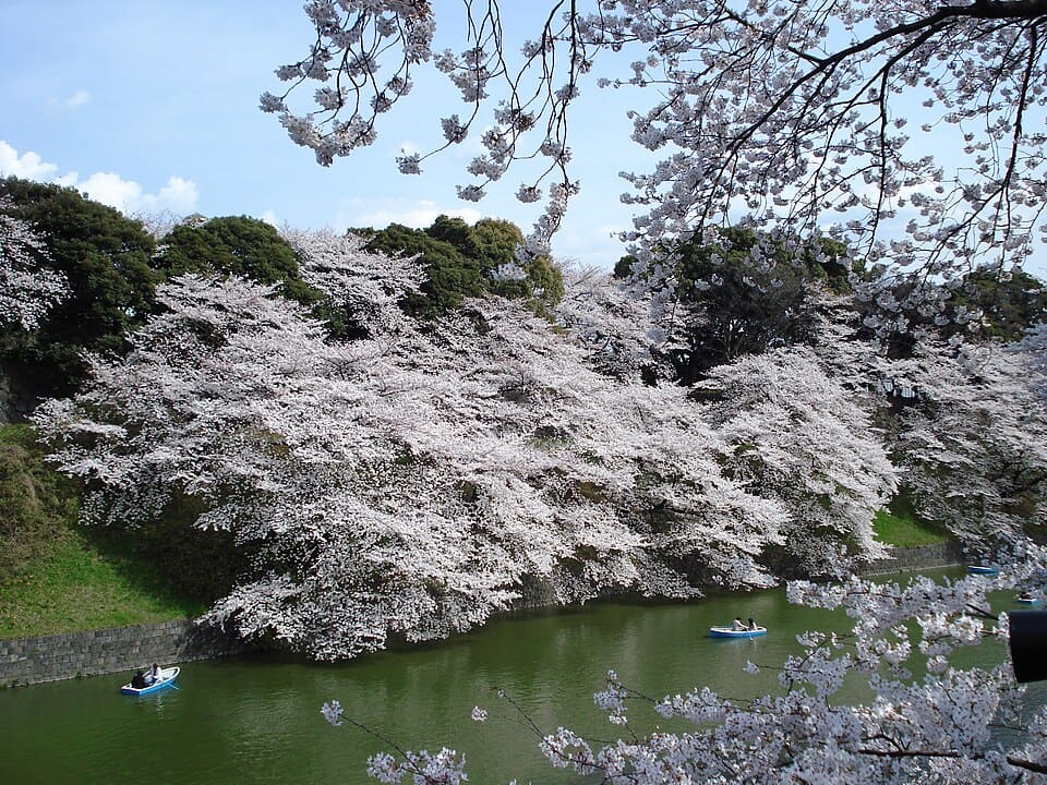 千鳥ヶ淵