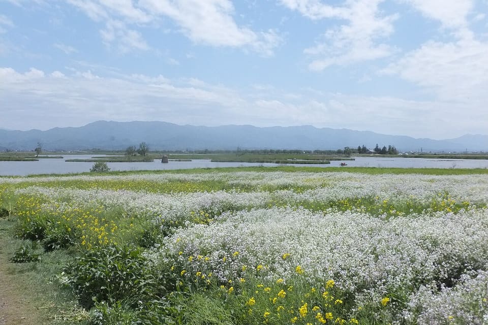 福島潟