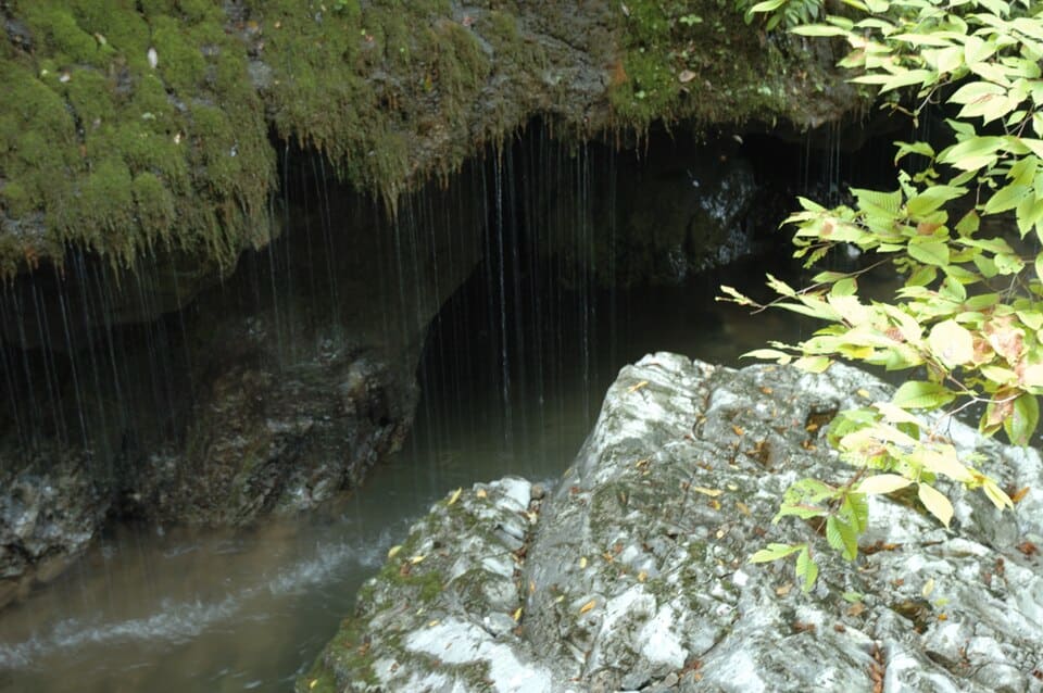 神庭の滝