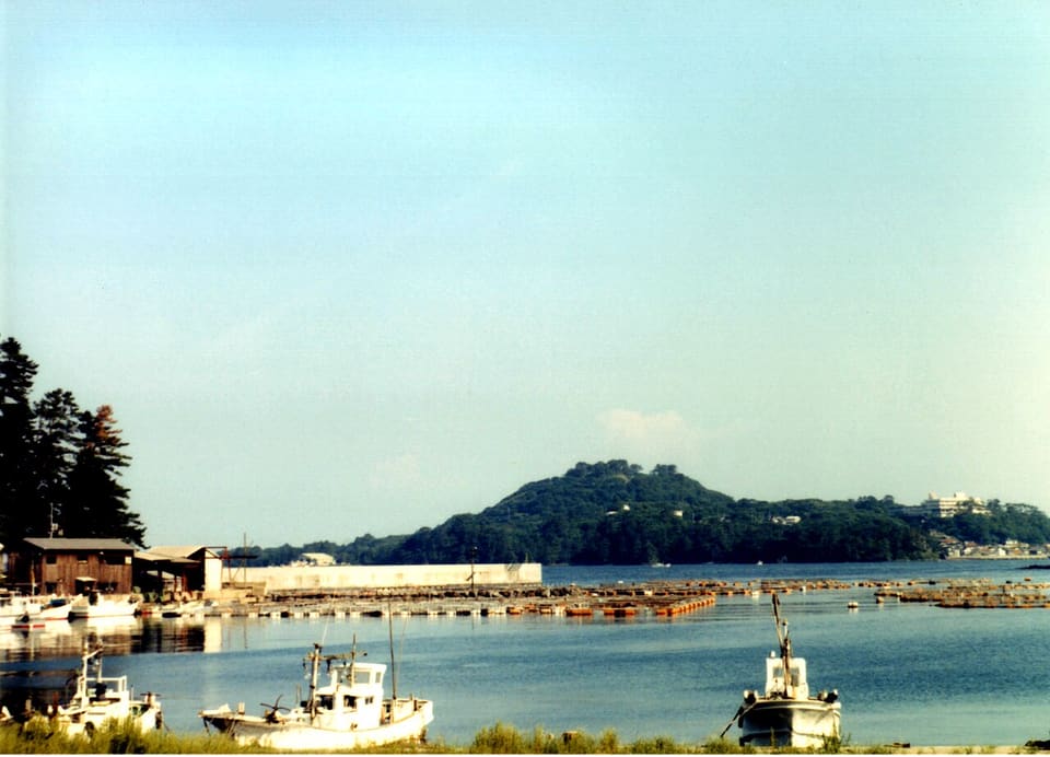 笠山 椿群生林