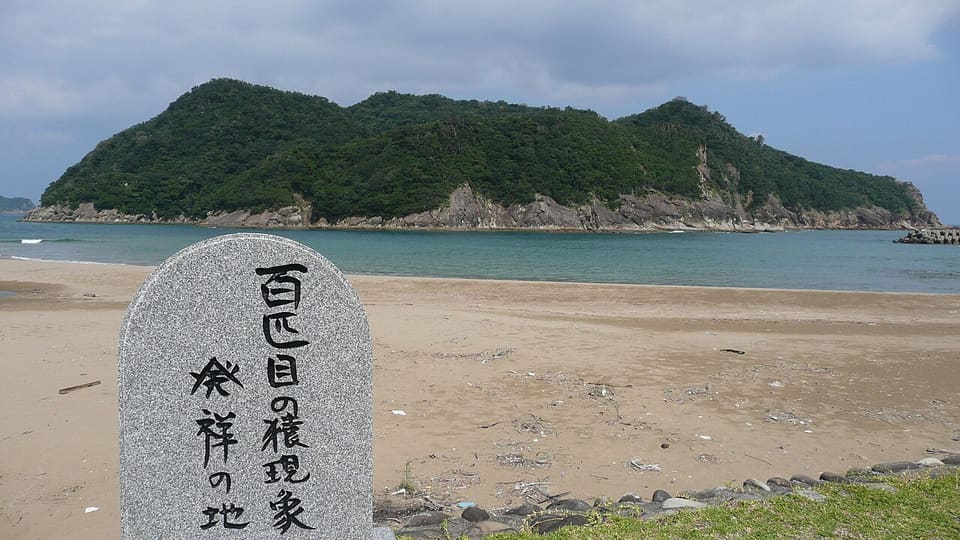 幸島