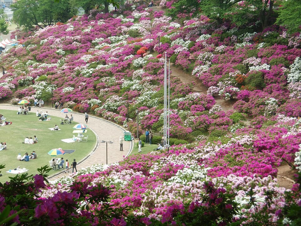 西山公園(鯖江市)