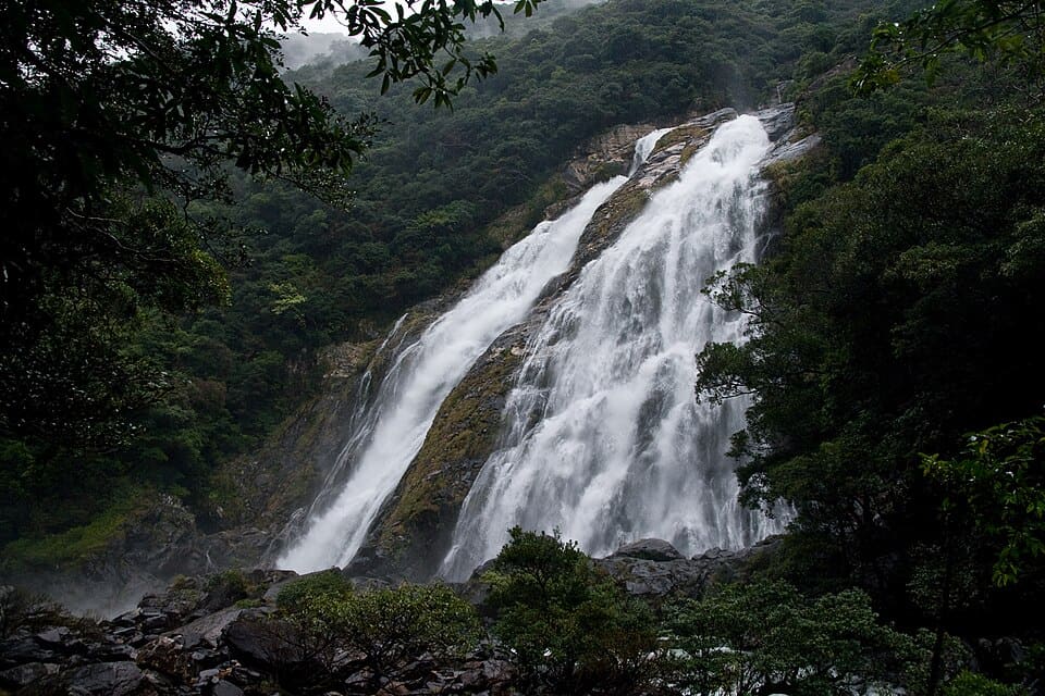 屋久島 大川の滝