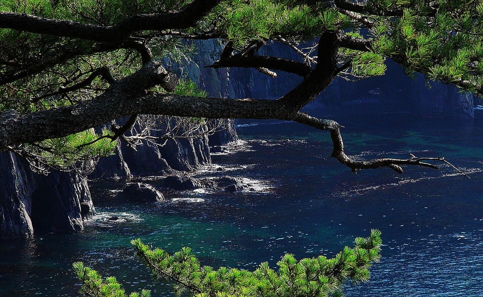 青海島