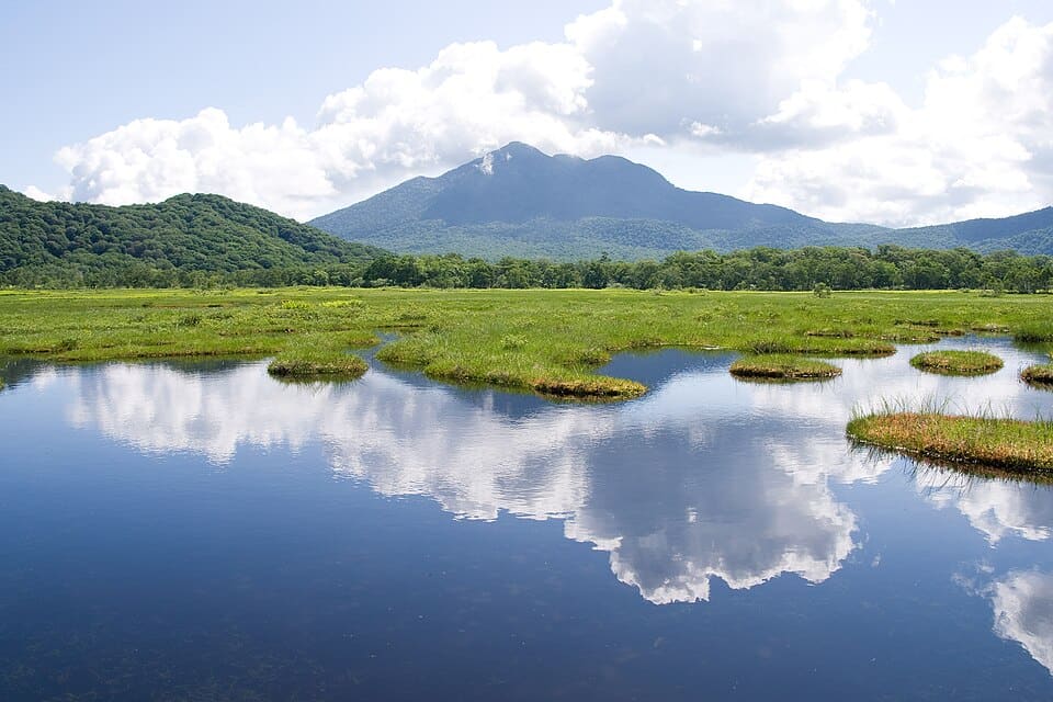 尾瀬ヶ原