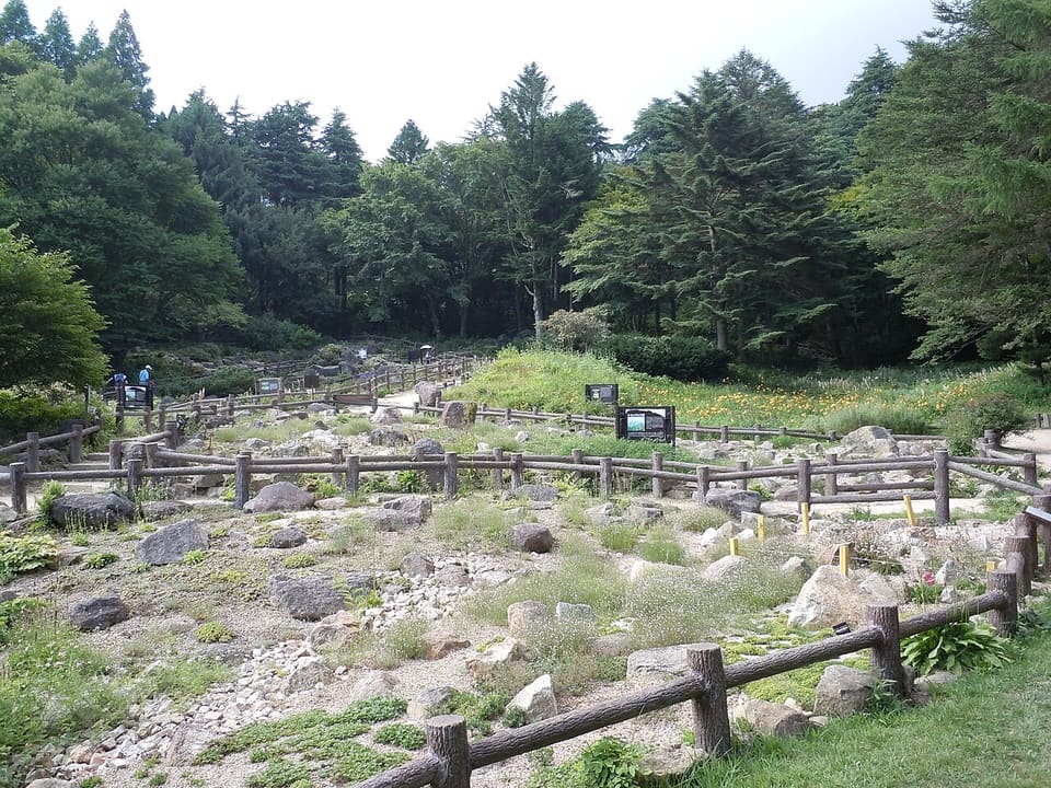 六甲高山植物園