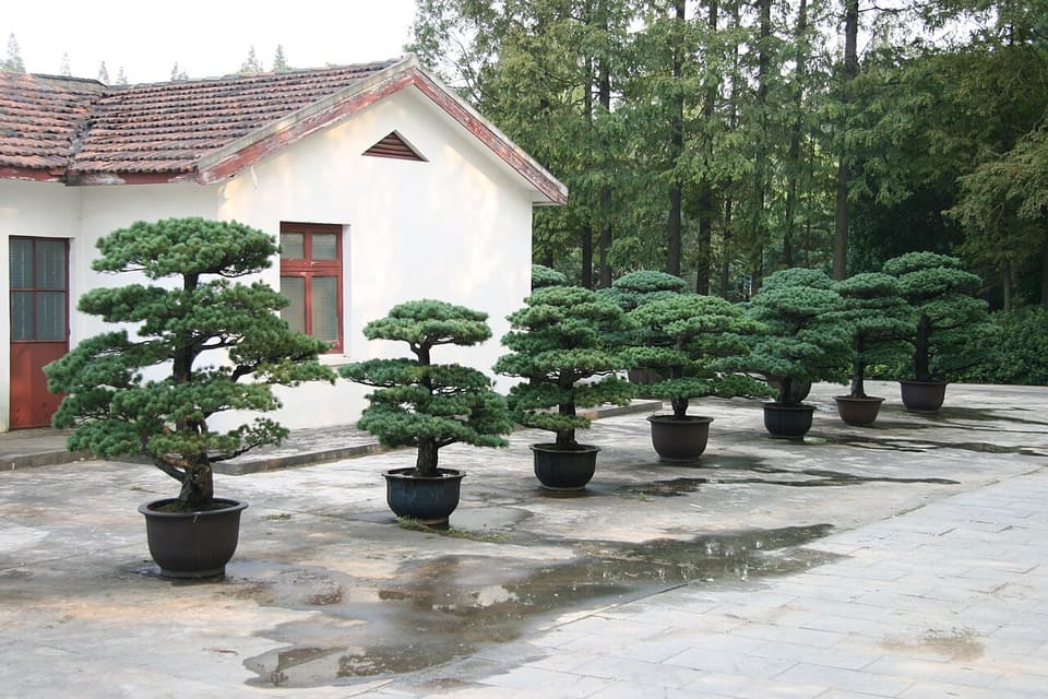 上海植物園