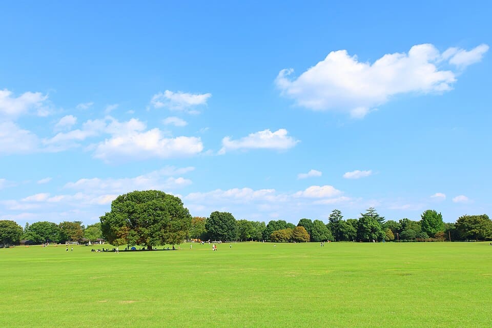 国営昭和記念公園