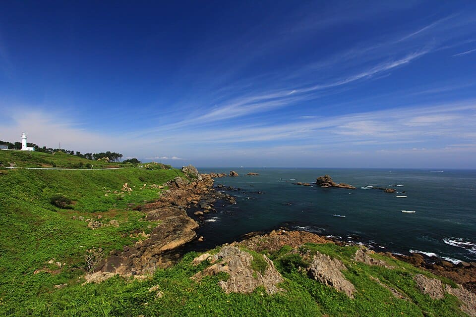 種差海岸