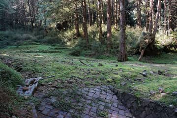阿里山