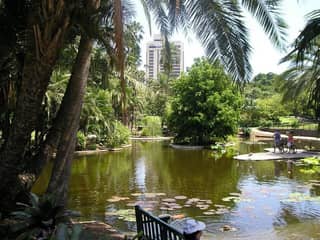 ブリスベンシティー植物園