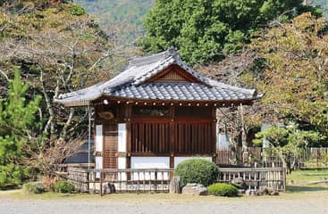大覚寺 大沢池