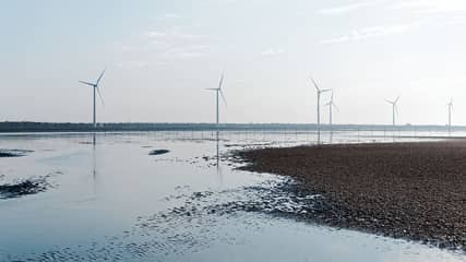 高美湿地