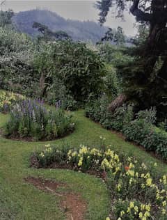 ハッガラ植物園