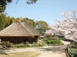 服部緑地 日本民家集落博物館