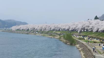 桧木内川堤