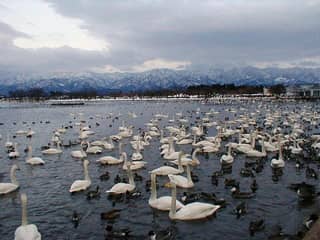 瓢湖