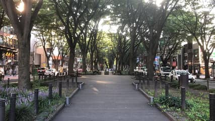 定禅寺通り