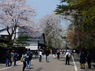 角館 武家屋敷通り