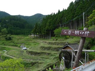 上勝の棚田