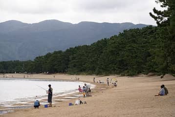 気比の松原