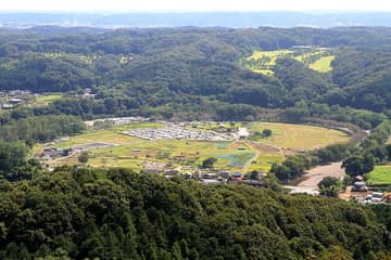 巾着田 曼珠沙華公園