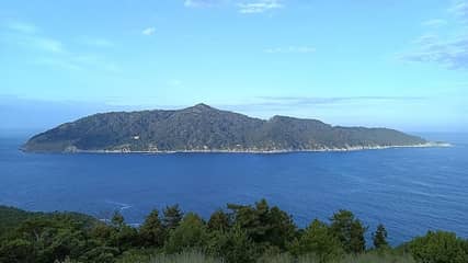 金華山