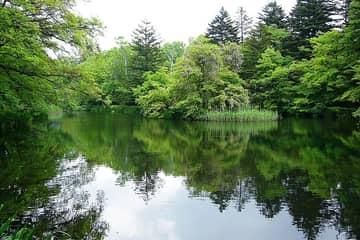 軽井沢 雲場池