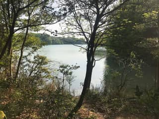 篠栗九大の森