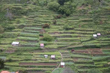 マデイラ諸島