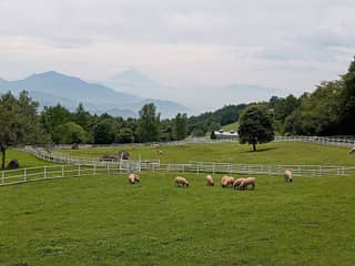 まきば公園
