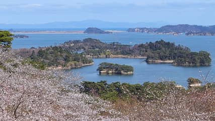 西行戻しの松公園