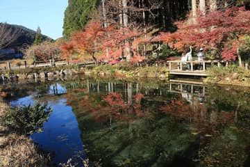 名もなき池（通称 モネの池）