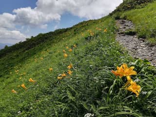 森吉山