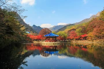 内蔵山