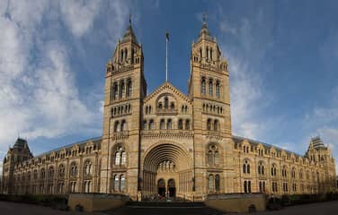 ロンドン自然史博物館
