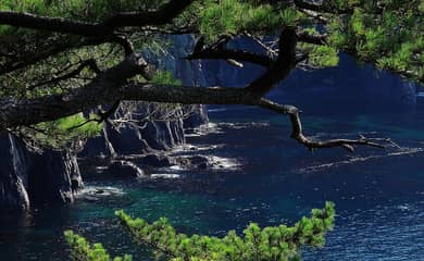 青海島
