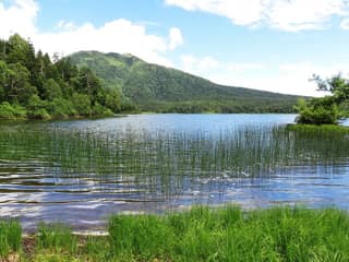 尾瀬沼
