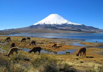 パリナコータ山