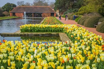 ウィズレー王立園芸協会植物園