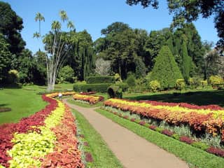 ペラデニヤ植物園