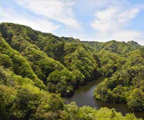 竜神大吊橋
