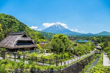 西湖いやしの里根場