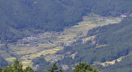坂折棚田