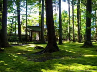 大原 三千院