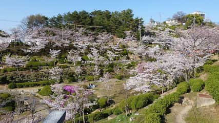 千光寺公園（尾道）