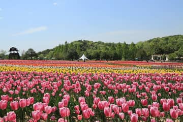 世羅高原農場